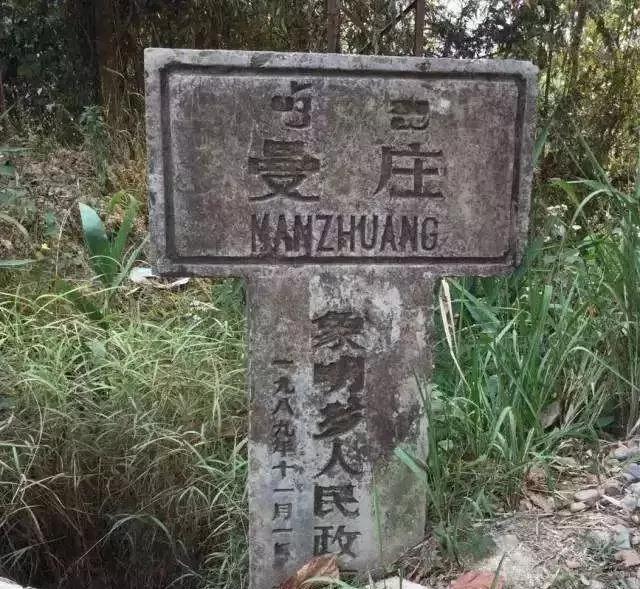 2025年蠻磚古樹(shù)春茶價(jià)格是多少？